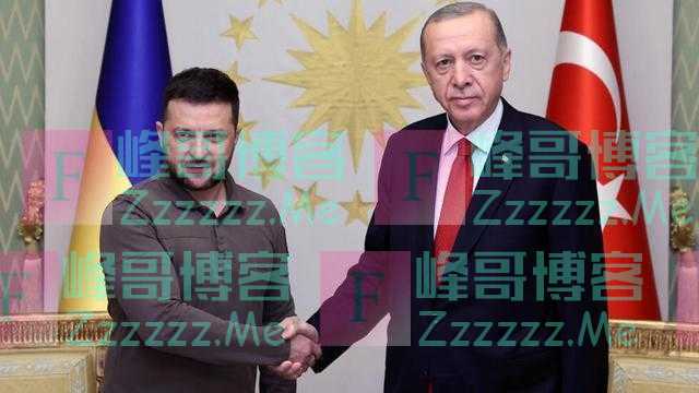 泽连斯基访问土耳其,埃尔多安“背刺”普京,北约没给他好脸色