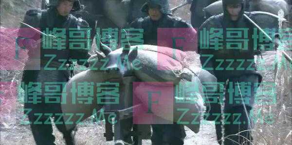 诸葛亮发明的“木牛流马”是真实存在的吗？