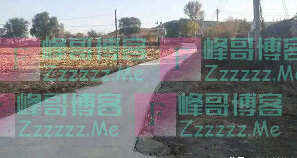 村村通成“村村苦”,为什么农村水泥路反成为村民的“眼中钉”?