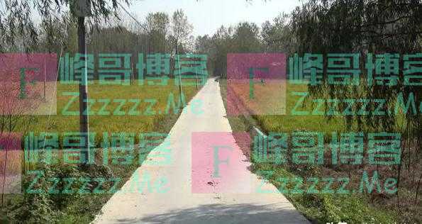 村村通成“村村苦”,为什么农村水泥路反成为村民的“眼中钉”?