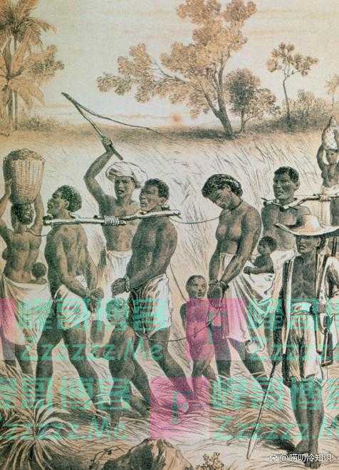 黑人在我国留下大量“黑二代”，该如何应对？日本的做法值得效仿