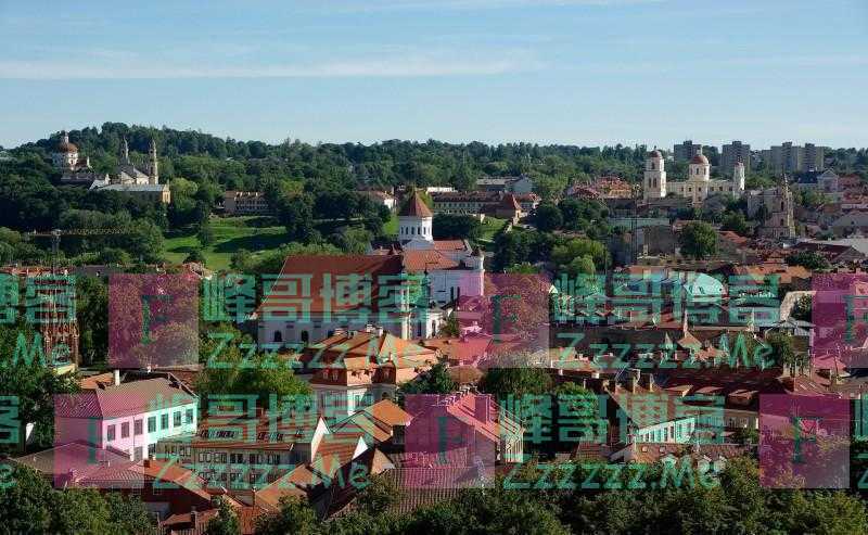 对华挑衅的代价！立陶宛重创：1300多企业破产，6万人失业