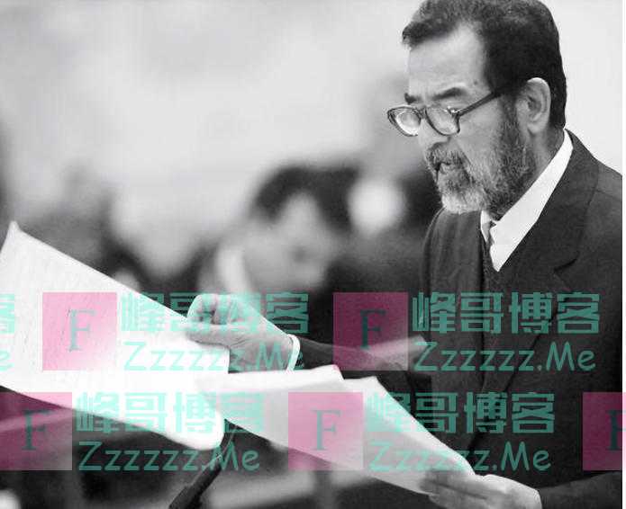 回顾萨达姆倒台,美军在地洞里抓到他施以绞刑,妻子称:不是他本人