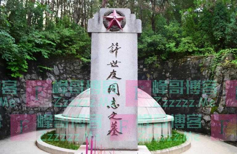 85年许世友向邓公吐露心结，邓：你有很大功劳，许：我可以闭目了