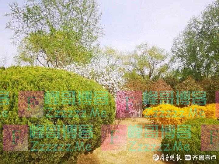 看破世事惊破胆,伤透人情寒透心