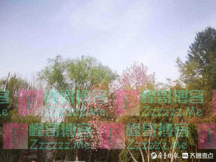 看破世事惊破胆,伤透人情寒透心