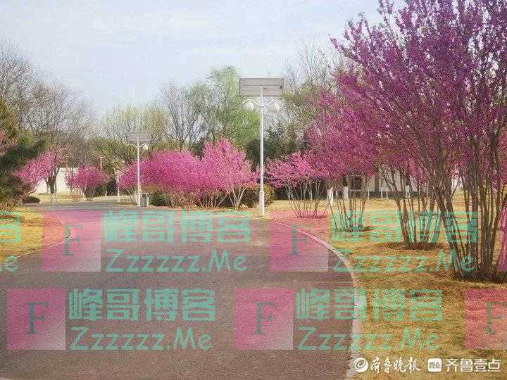 看破世事惊破胆,伤透人情寒透心