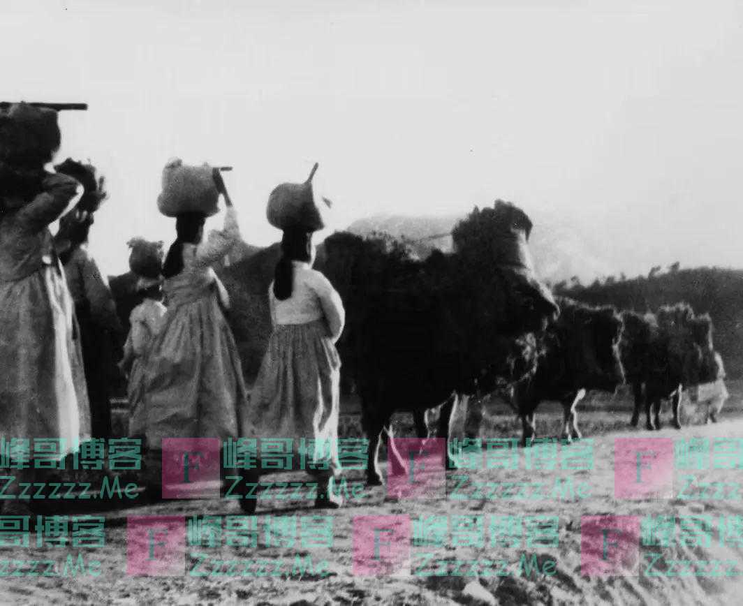 70年前,有个小男孩来过人间!没有留下姓名,只遗落一双胶鞋
