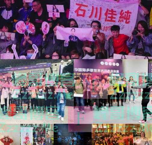 石川佳纯：吸取福原爱的教训，肯定不会考虑嫁台湾男人