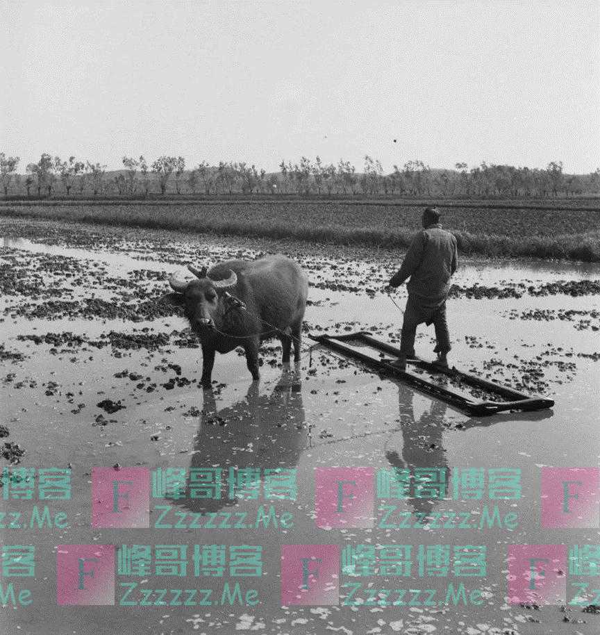 主持人吴小莉：与亲哥浙江相认，对方一贫如洗，她帮助亲哥了吗？