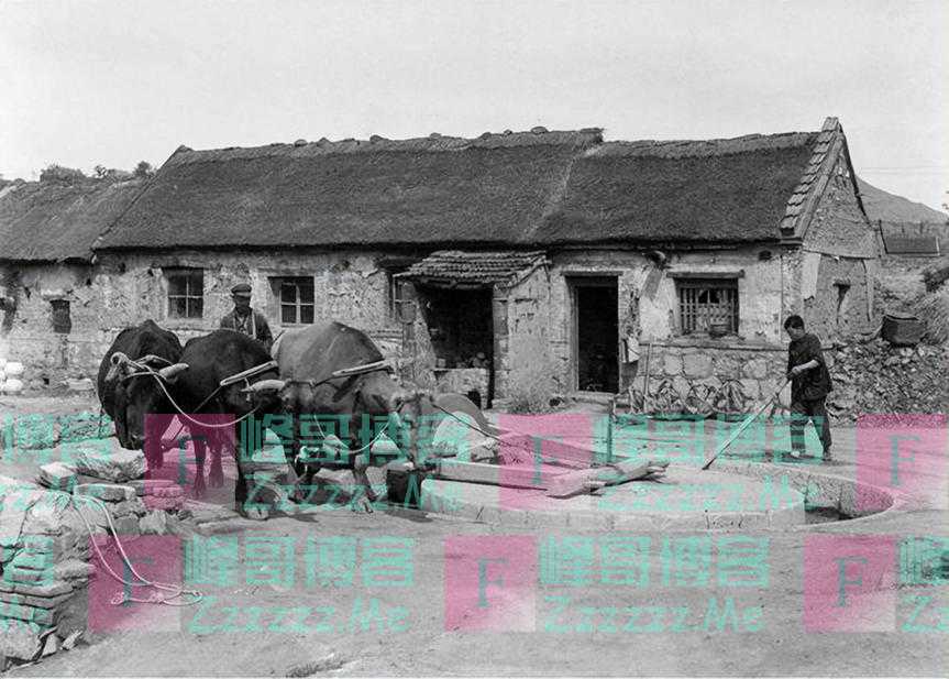 主持人吴小莉：与亲哥浙江相认，对方一贫如洗，她帮助亲哥了吗？