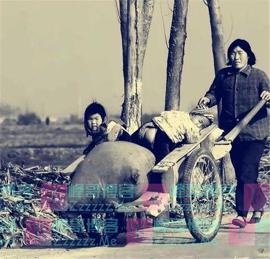 主持人吴小莉：与亲哥浙江相认，对方一贫如洗，她帮助亲哥了吗？