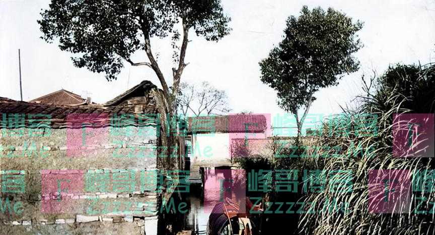 主持人吴小莉：与亲哥浙江相认，对方一贫如洗，她帮助亲哥了吗？