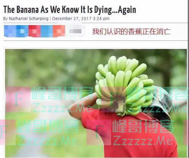 西瓜祖先长这样，人类是怎么下口的？