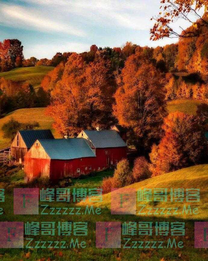 46岁大姐风韵犹存,相亲60岁大爷,大爷提前试婚,大姐:你想咋试