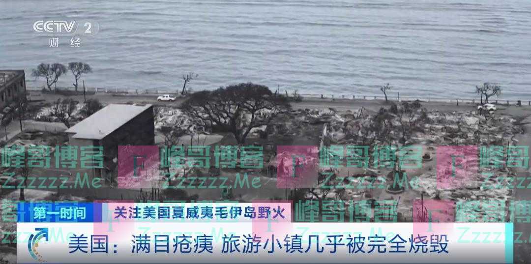 致114死,局长宣布辞职!
