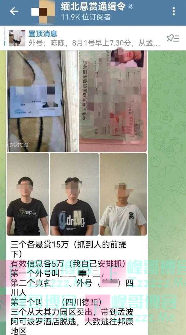 太嚣张!缅北电诈集团高调悬赏捉拿逃跑者