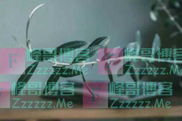 不要再称呼女人为美女了，称呼美女已经过时了，现在流行3个称呼