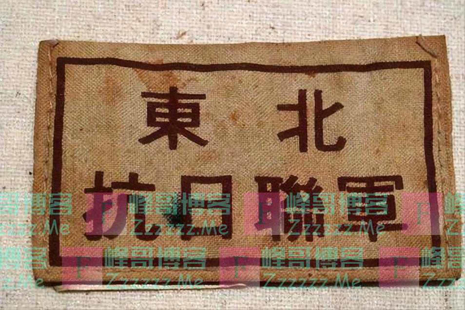 抗联时期,杨靖宇身边为何出现众多叛徒?该向大家揭秘历史真相了