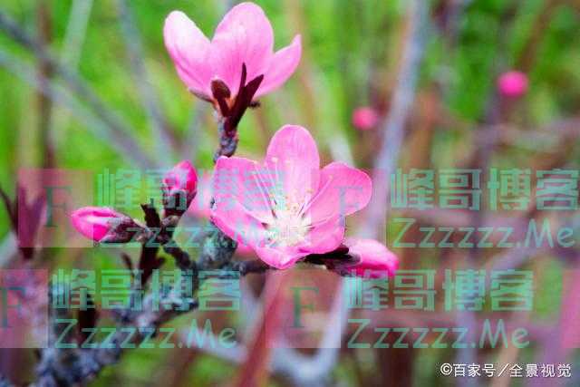 “家有两人，日子难熬”：家有两种人，别惯着