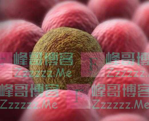 鹅肉,是癌细胞的“催化剂”吗?劝告:这4种肉,请嘴下留情