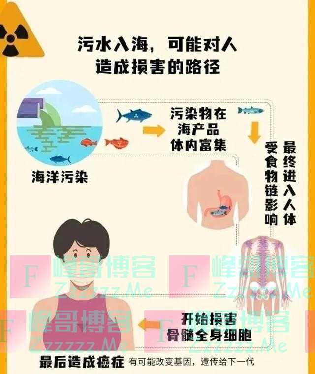 六问日本核污染水排海：何时到达中国沿海？海鲜还能吃吗？