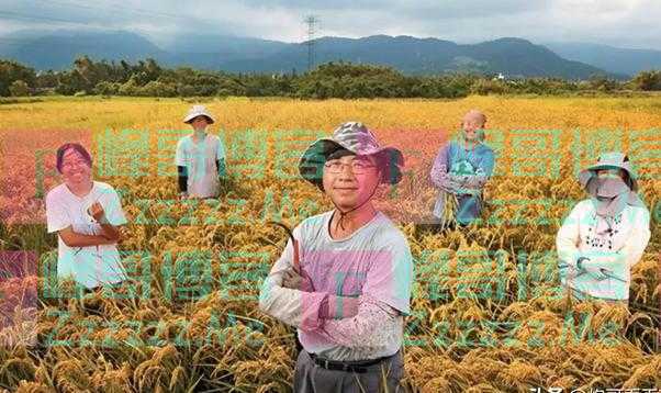 北大教授李玲:拿着高额退休金的人,却经常反对提高农民养老金
