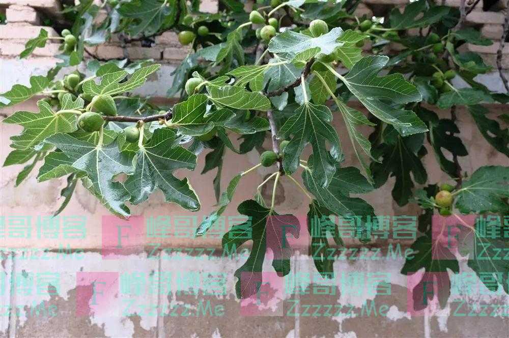 18位女工从上海参军，成为抗美援朝英雄，70年后她们怎么样了？｜睡前分享