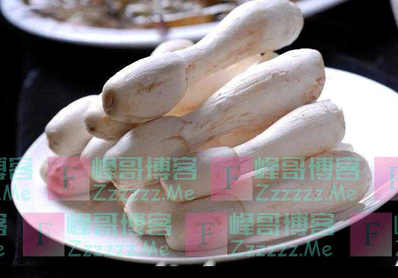 夏季失眠危害大！学会这几招，沾枕头就睡着，一觉到天亮！