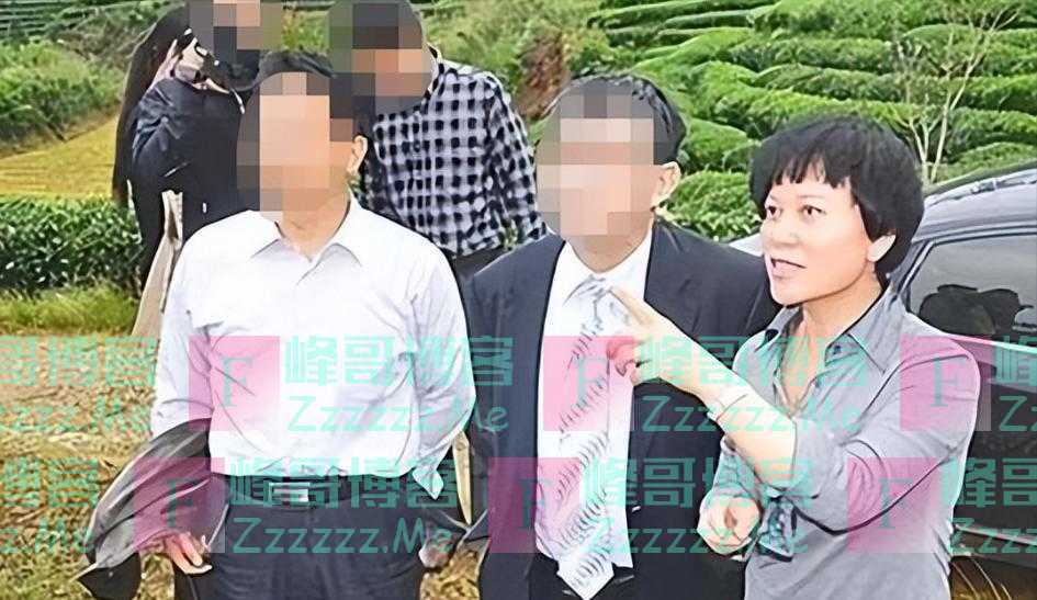 纪实:“美女市长”朱仁秀,肉身开道拿下数十名官员,敛财2000万