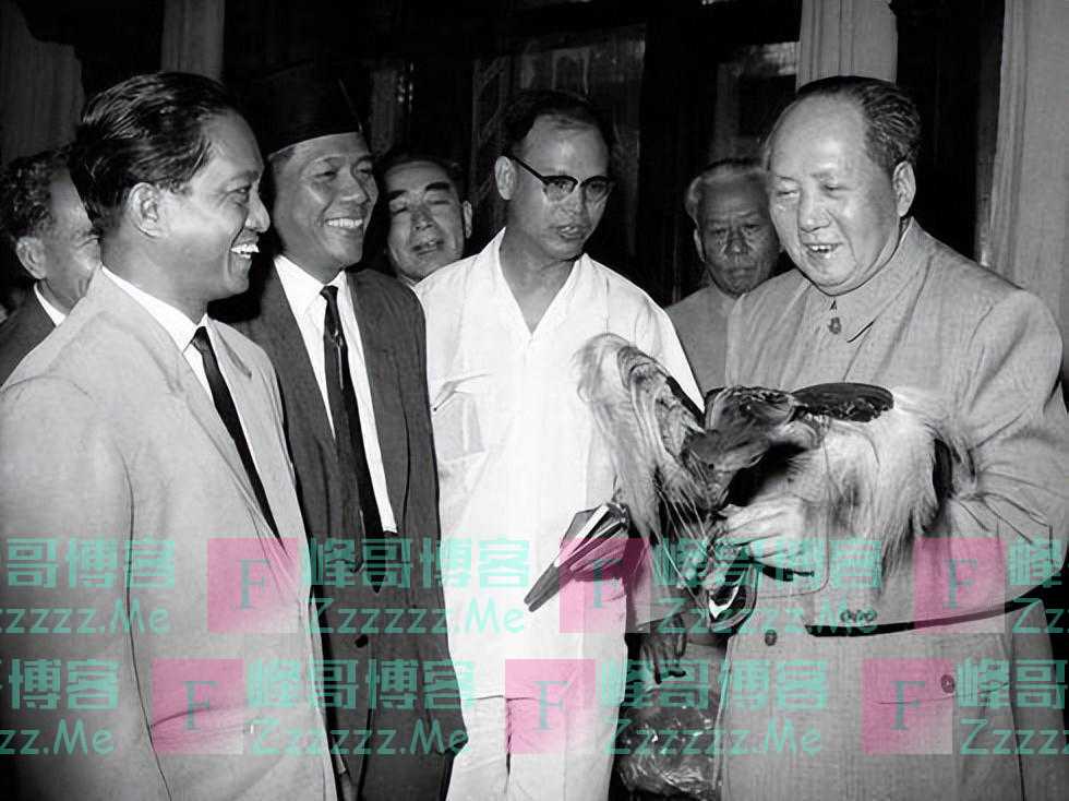 1956年毛主席作出言:台湾未来只有两条路,如今看来真的精准