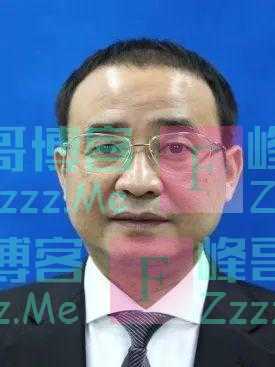 8位厅干上任,“80后”的她添新职