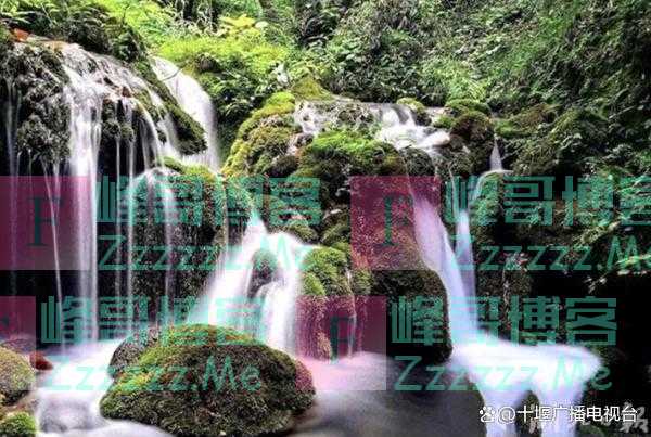 国家批复12个国家级森林公园总体规划,十堰占1家