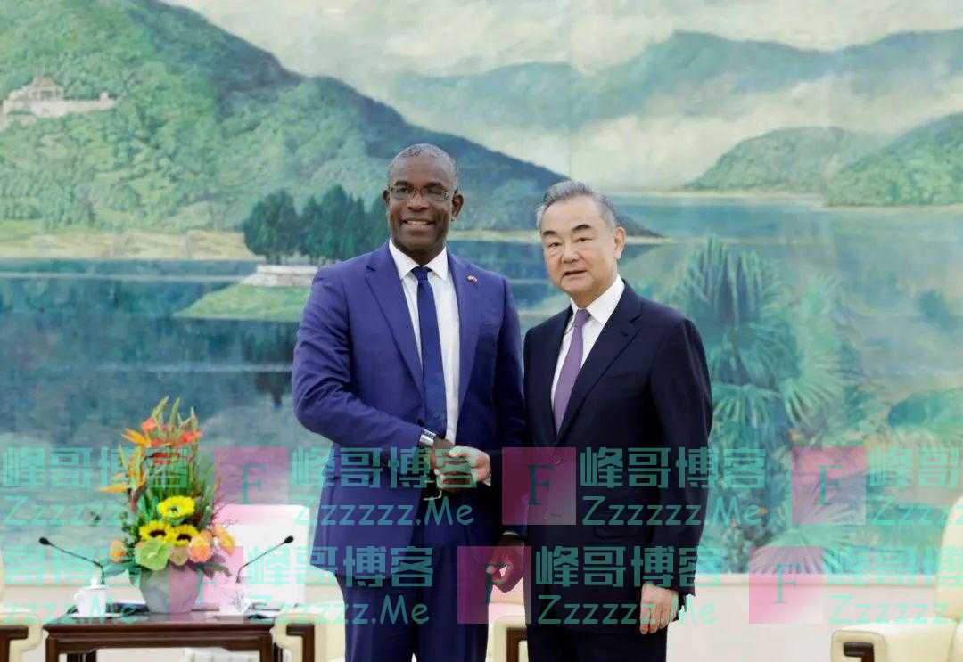 王毅会见格林纳达外长安德尔