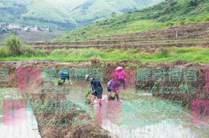 “退林还耕”？原来是个伪概念