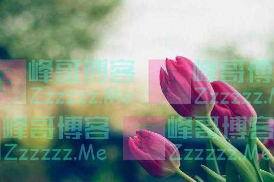 一个人是不是很穷，看他微信就知道了