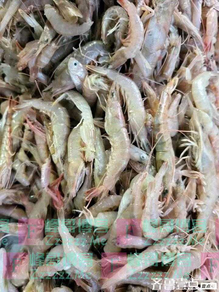 人生最大的幸福