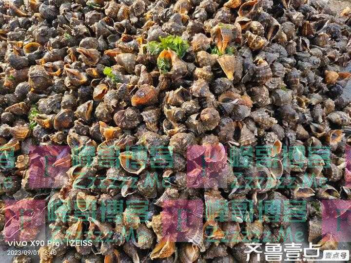 人生最大的幸福