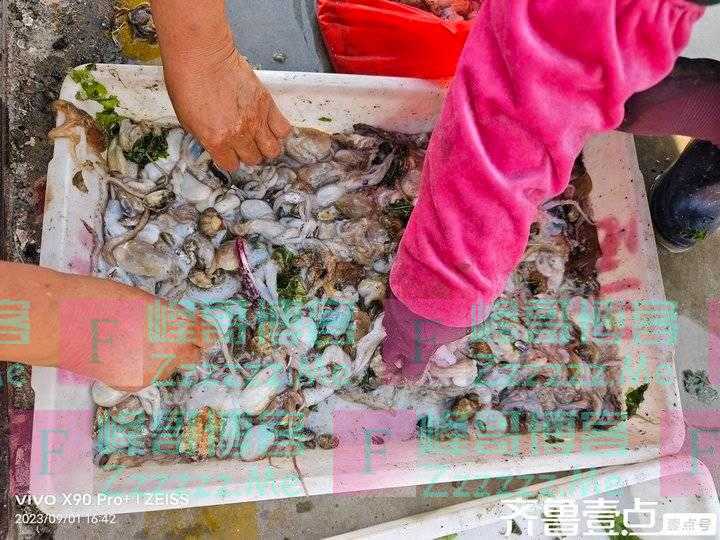 人生最大的幸福