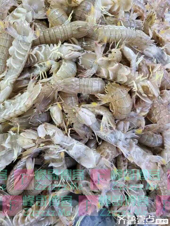 人生最大的幸福