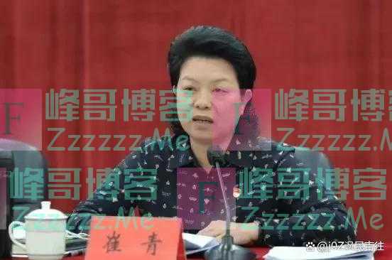 回顾:广东女副市长酷爱包男宠,四年贪1700万,沉溺喝茅台点鸭子
