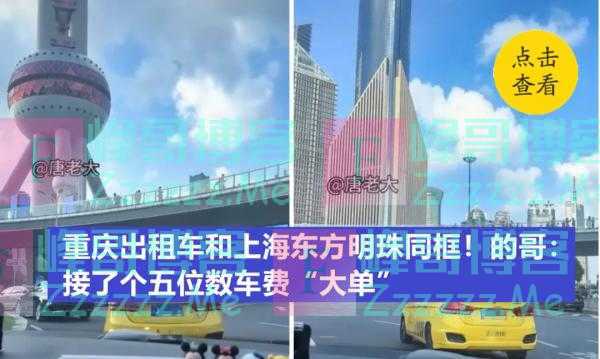 重庆的哥这一路怎么开来的上海？细节曝光！正在调查！