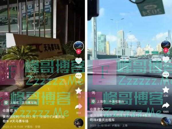 重庆的哥这一路怎么开来的上海？细节曝光！正在调查！