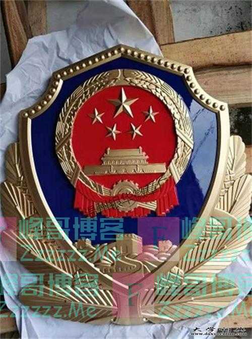 故事：35岁警花被三个歹徒残忍侵害，生前苦苦哀求：孩子在等我