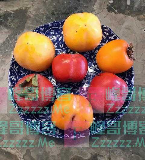 一果顶十药！9月底上市的这种水果比苹果功效更多，提前了解一下