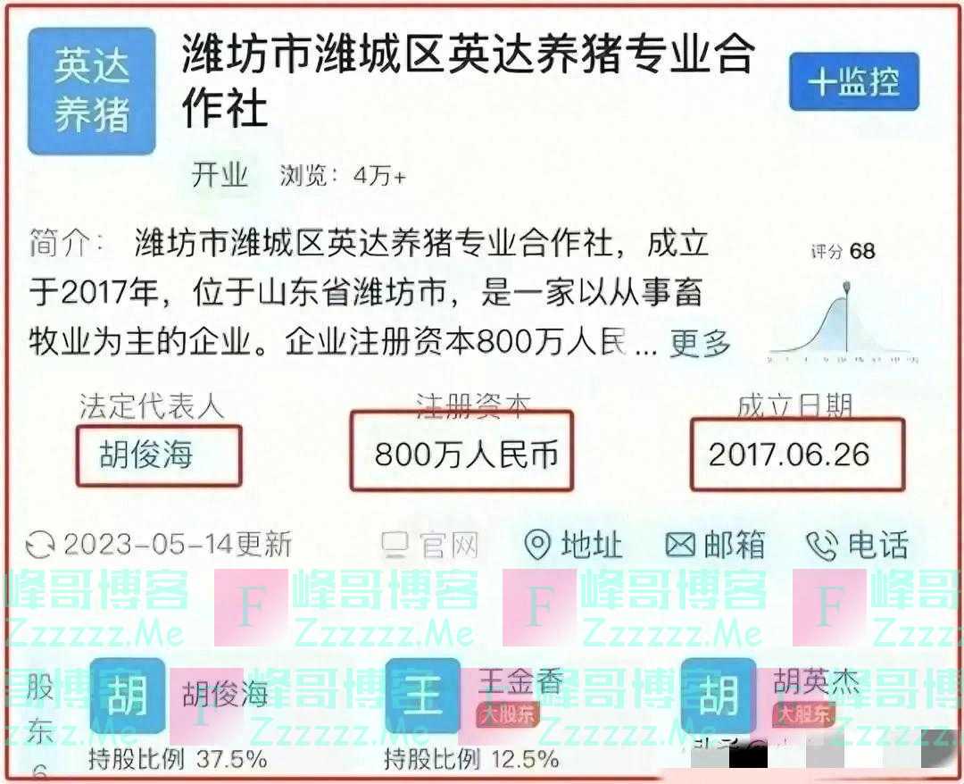事大了!山东潍坊的村书记和妇女主任,除有板凳之交,还开养猪场