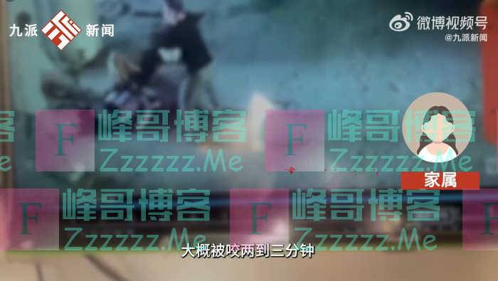 贵州1岁男童与奶奶回家途中被恶犬咬伤，家属称老人左臂神经被咬断，派出所回应