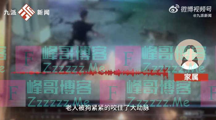 贵州1岁男童与奶奶回家途中被恶犬咬伤，家属称老人左臂神经被咬断，派出所回应