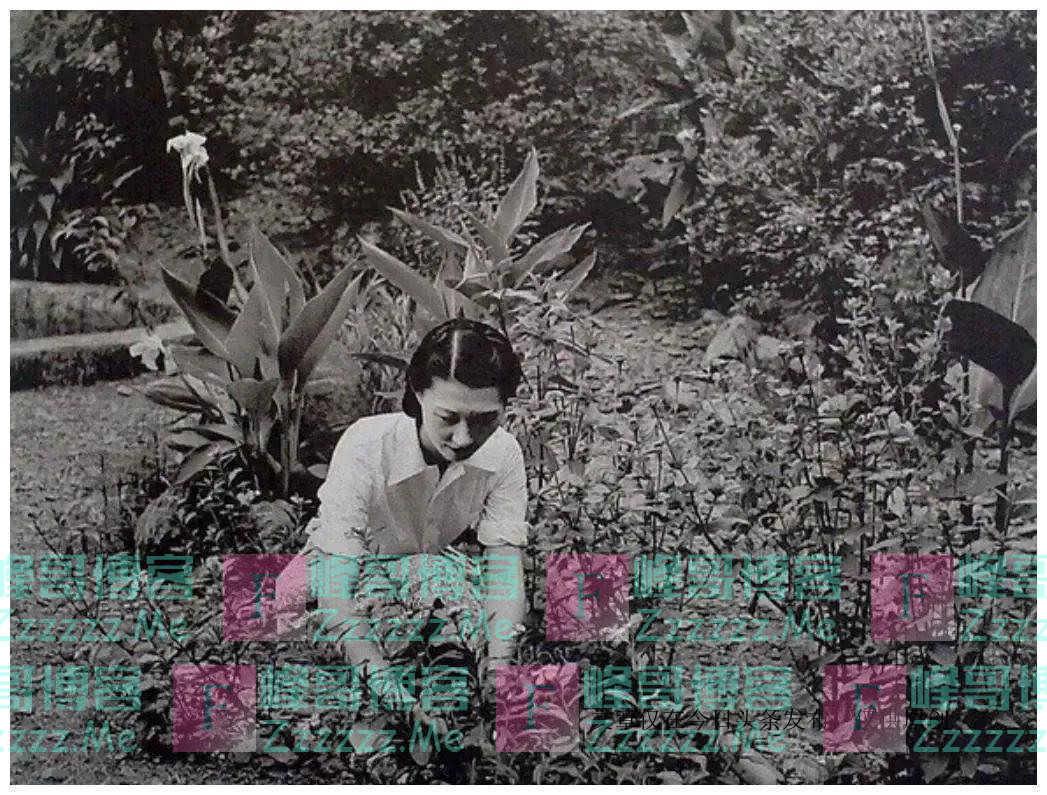 张学良迷恋的赵四小姐究竟有多美？看完这些老照片，你就明白了