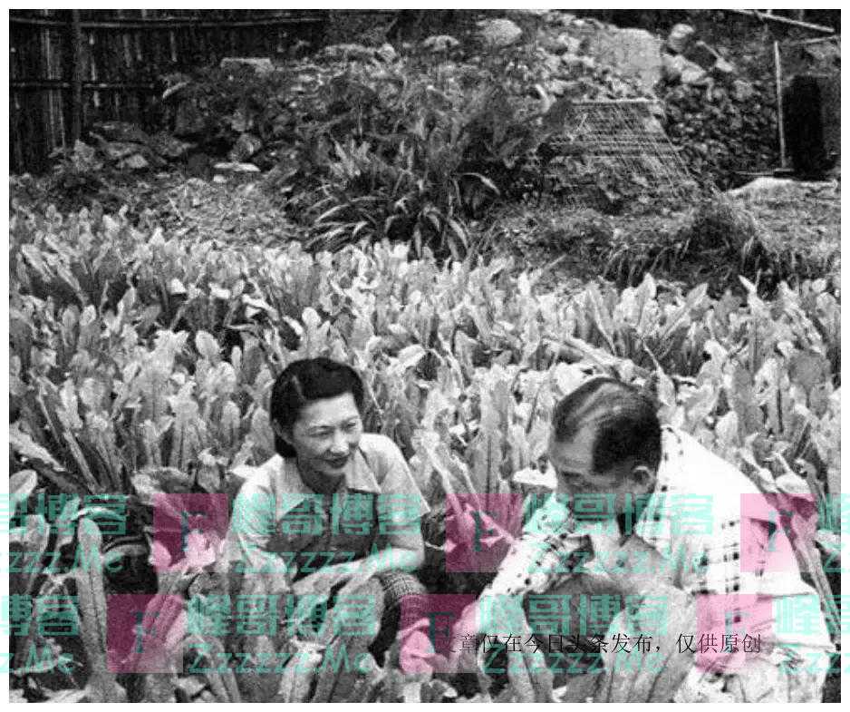 张学良迷恋的赵四小姐究竟有多美？看完这些老照片，你就明白了